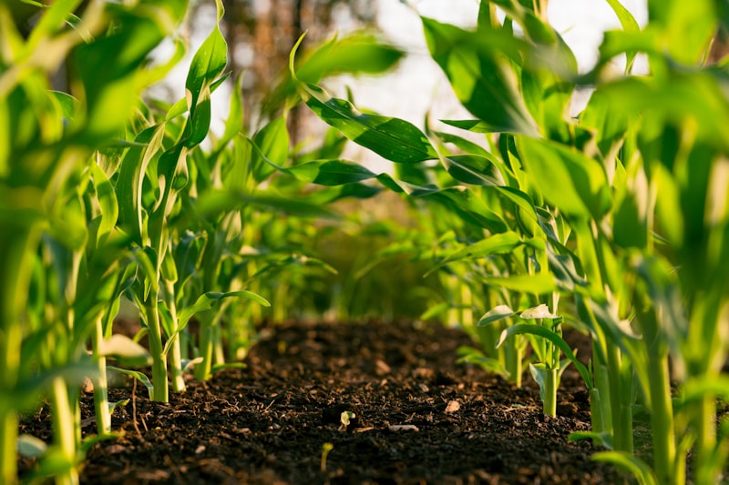 Smart agriculture telemetry, soil sensors, and irrigation controllers