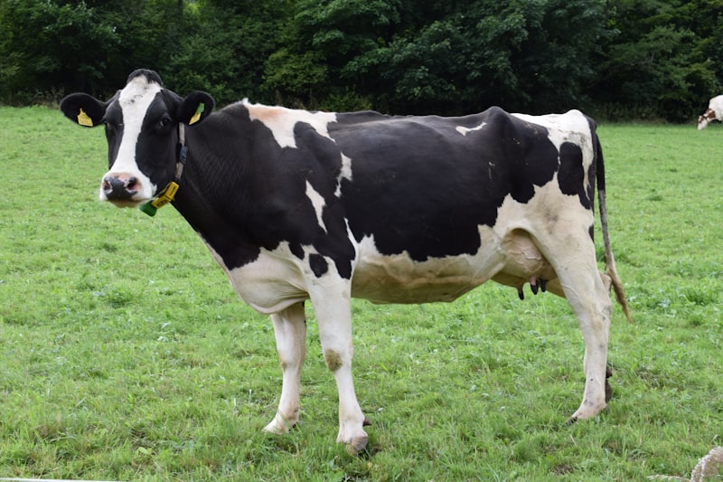 Livestock health monitoring ear tags and farm telemetry hardware